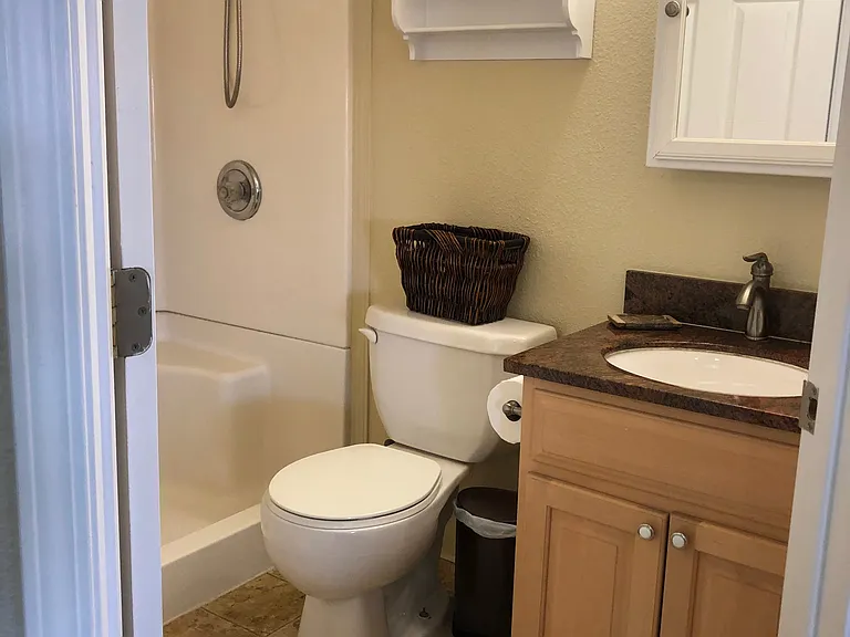 Bathroom with full shower and new laminate (not shown here)