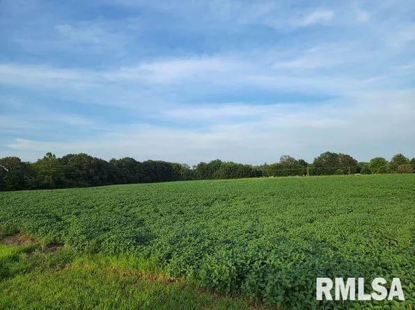 0 W Main St, De Soto, IL 62924