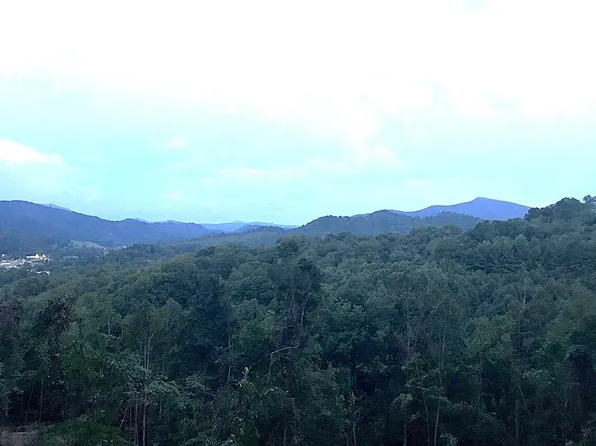 Laurel Highlands Rd, Roan Mountain, TN 37687