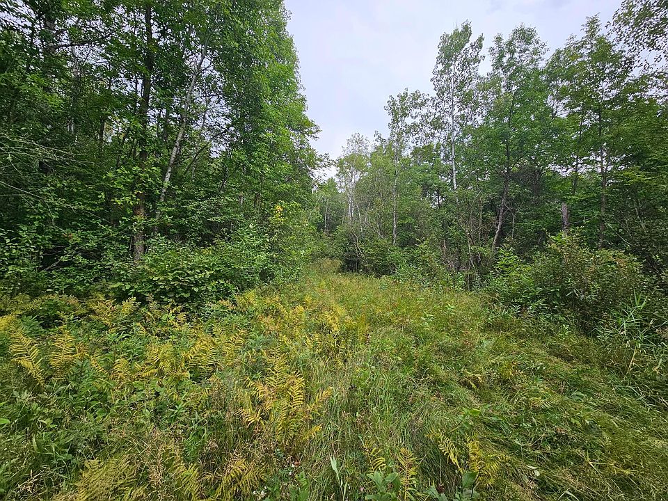 2nd image of Moose River Rd E