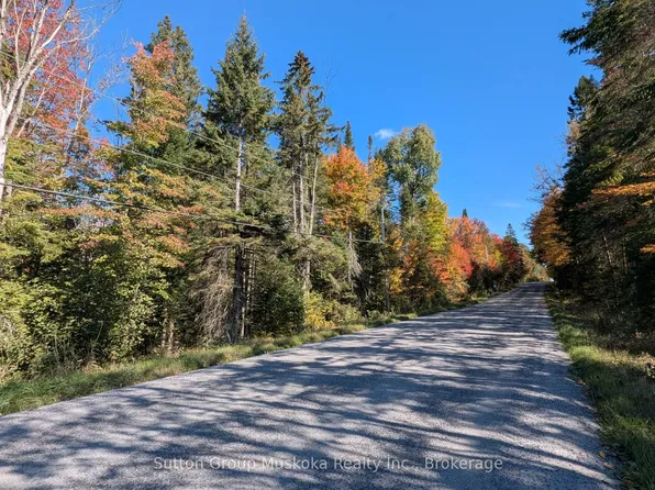 0 Savage Settlement Rd, Perry, ON P0A 1C0