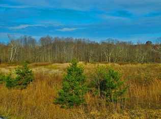 1 Amulet Cir, Berkeley Springs, WV 25411