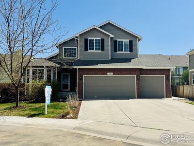 605 Wycombe Ct, Windsor, CO, 80550