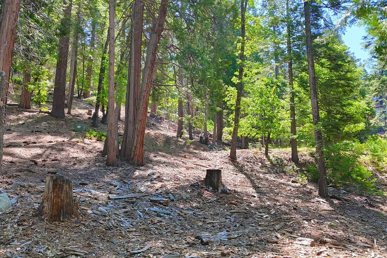 7220 Yosemite Park Way photo 1