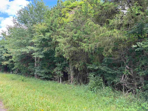 Tbd Fm 1766, Naples, TX 75568