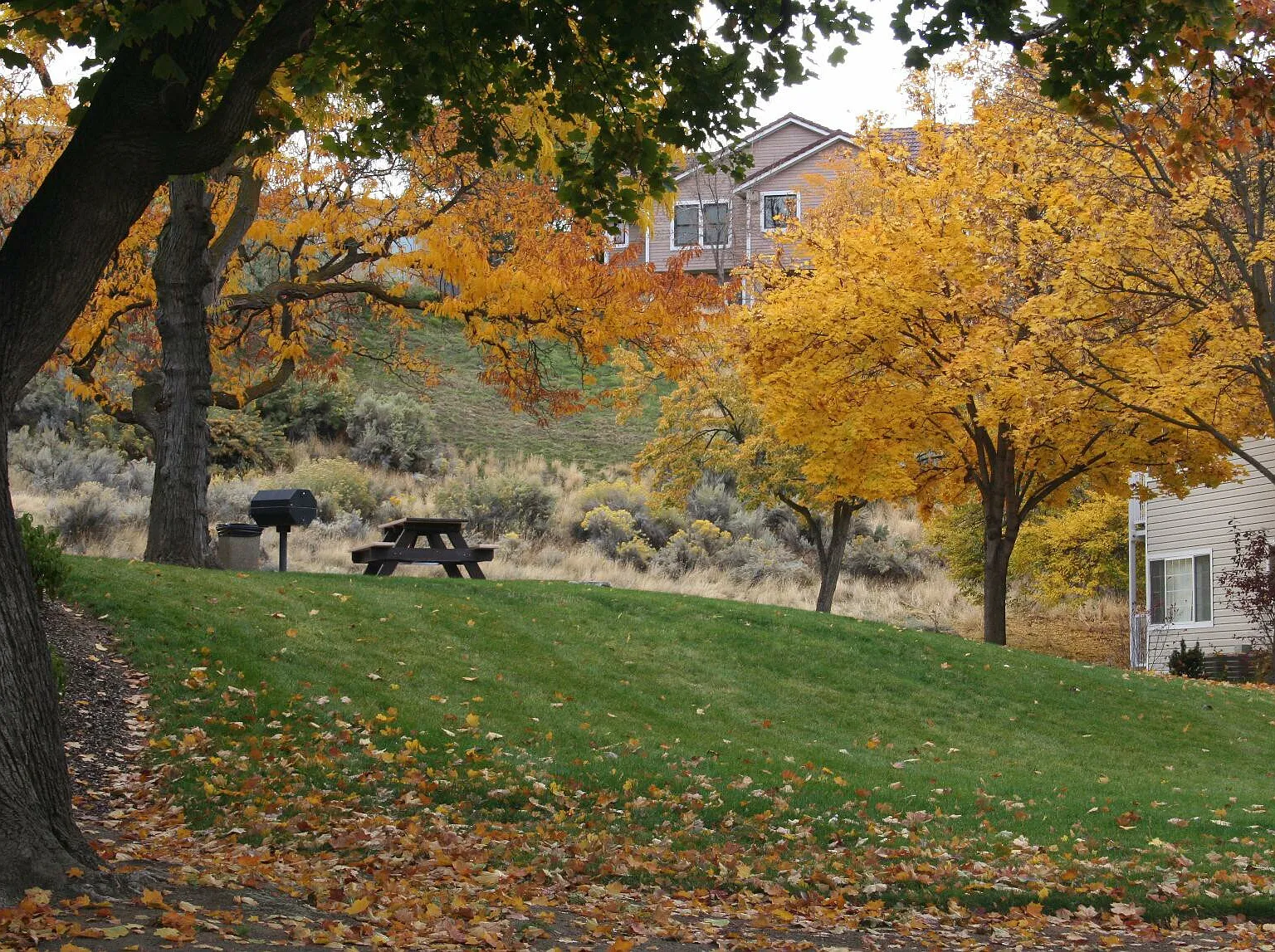 Somerset Hills — Photo 4