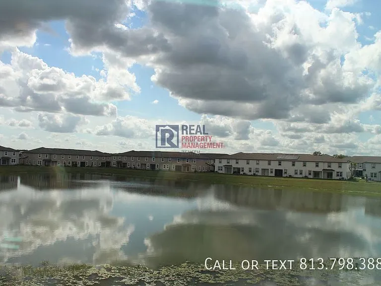 32146 Powderpuff Mimosa Dr — Photo 23
