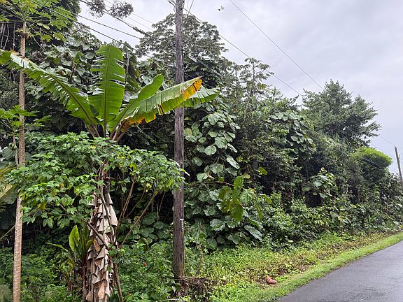 2nd image of Opihi St Lot 8
