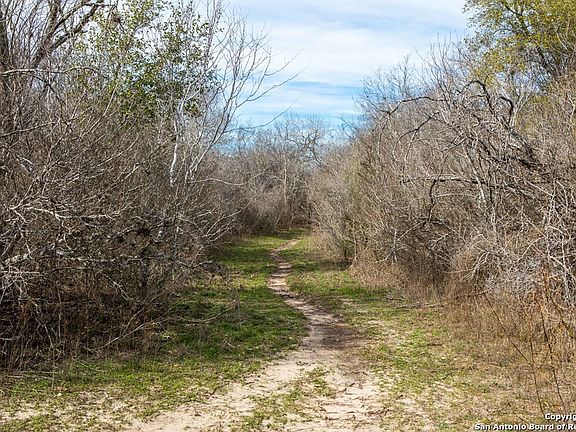 5th image of 8684 Mineral Cemetery Rd