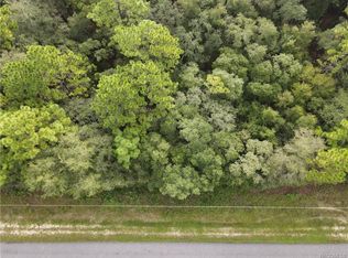 6393 N Darlington Dr, Citrus Springs, FL 34434