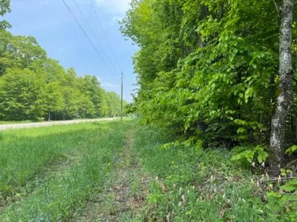 0 County Road 98, Mc Millan, MI 49853