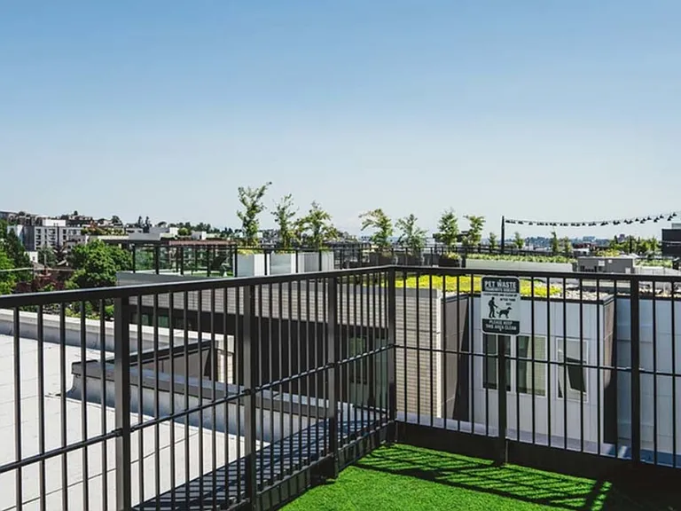 Rooftop dog run at Modera Broadway