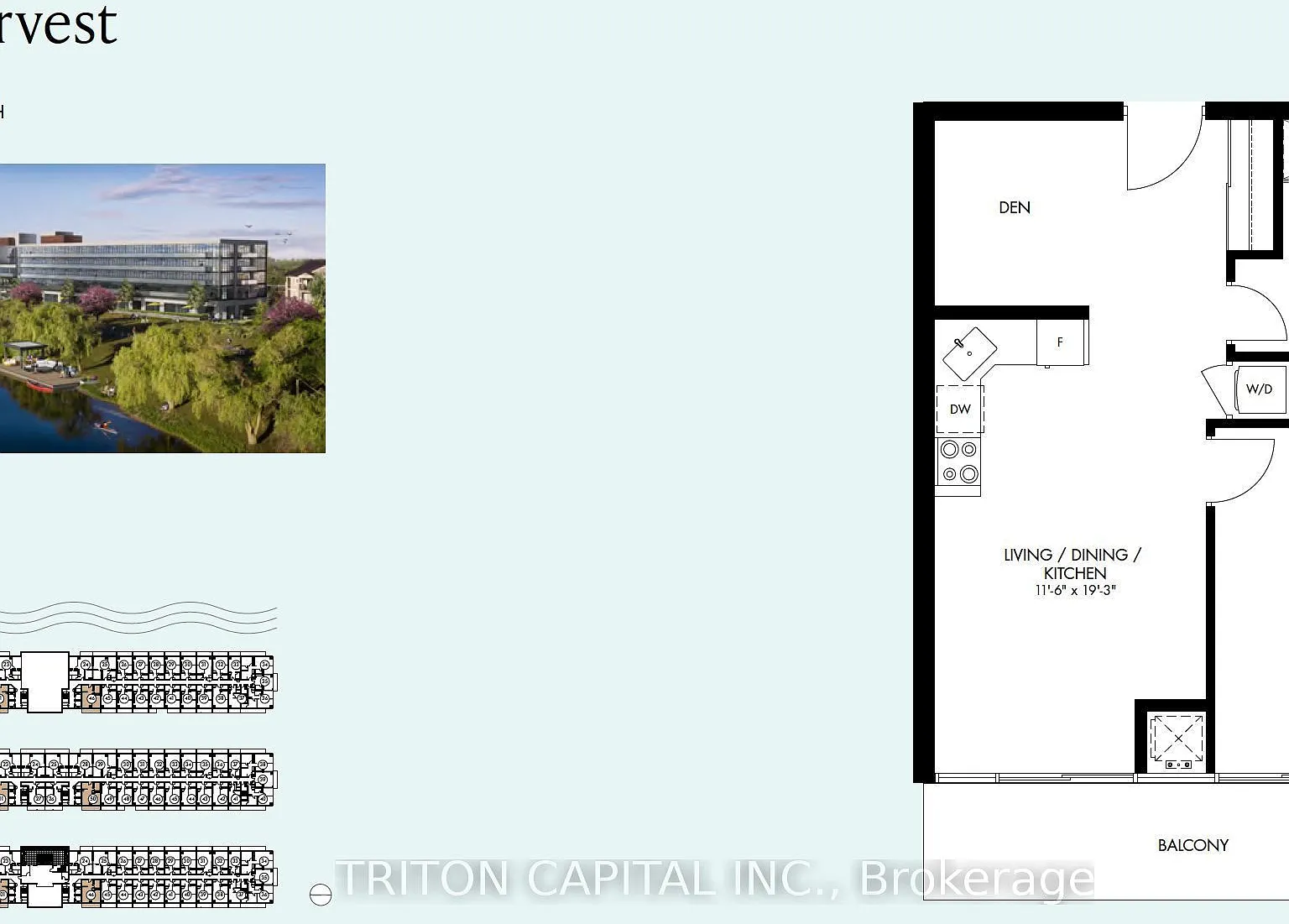 1 bed, $1,795 — Photo 2