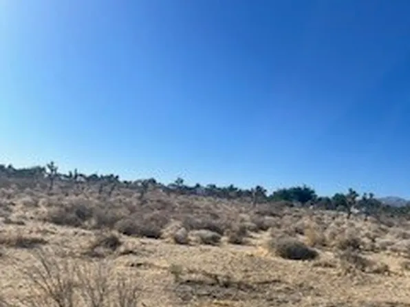 0 Pinetree Rd Lot 494, Pinon Hills, CA 92372