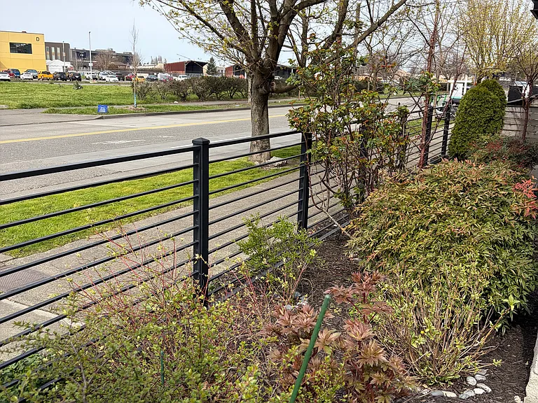 front/side yard