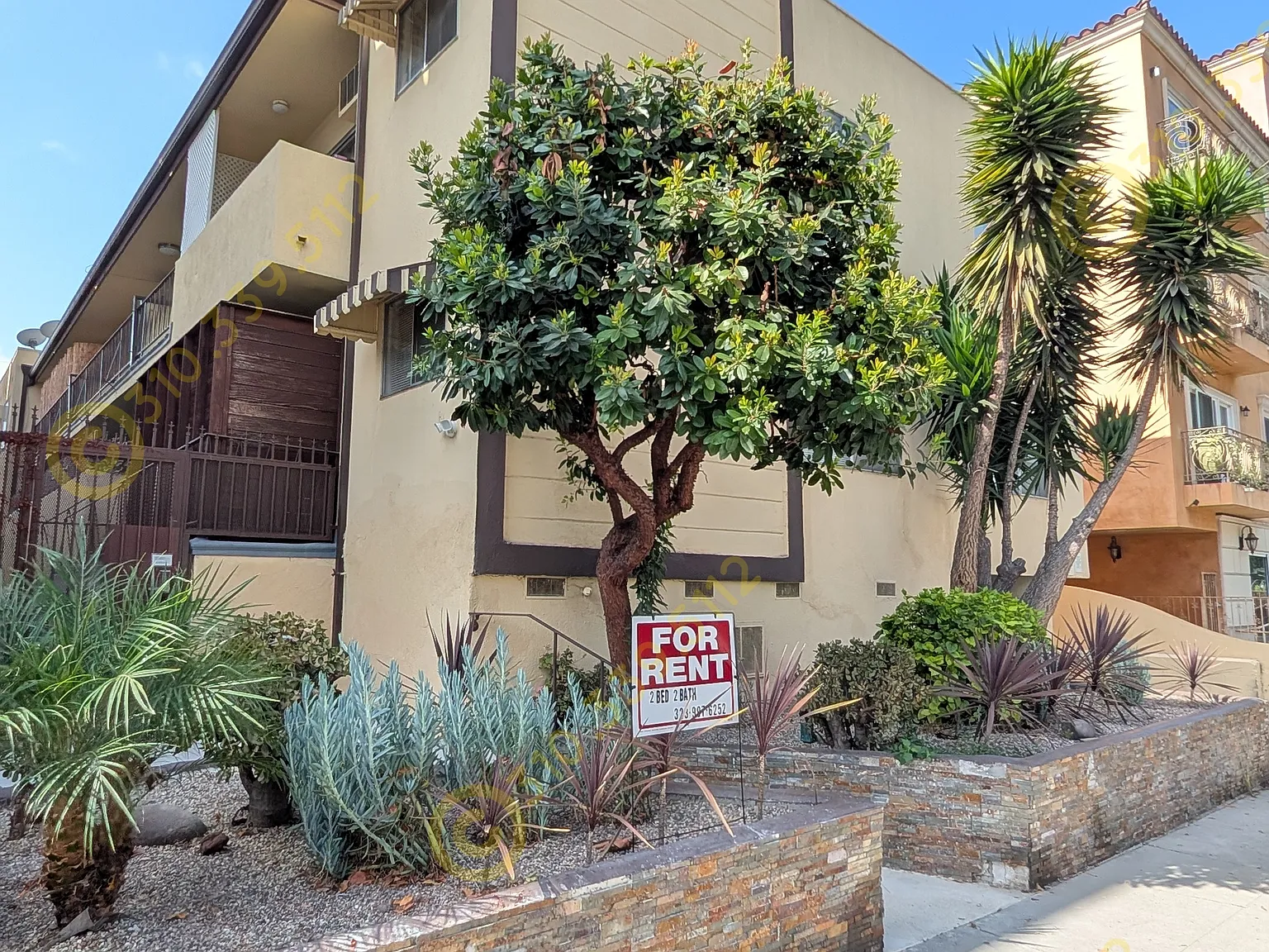 2 bed, 1003 sqft, $3,200 — Photo 2