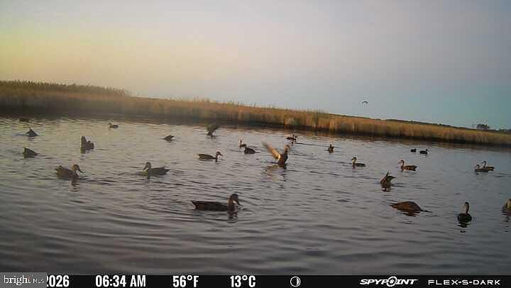 1st image of 3241 Robbins Rd