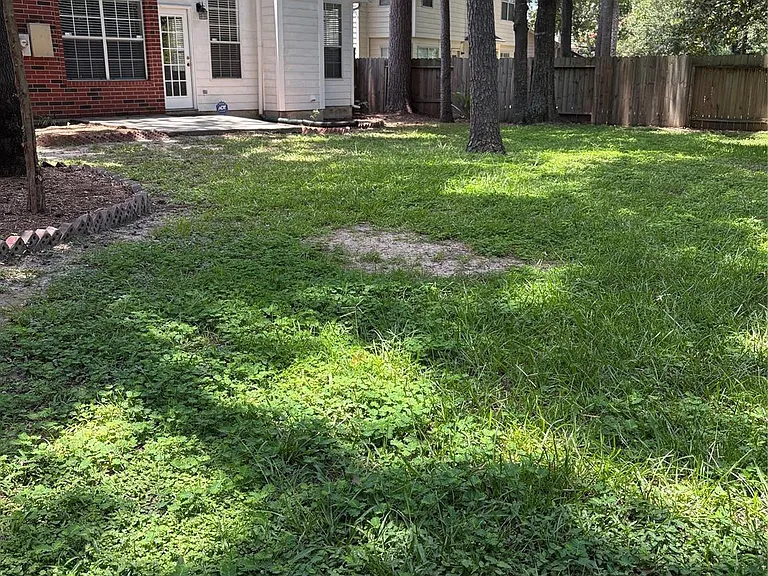 3523 Kings Mountain Dr — Photo 16