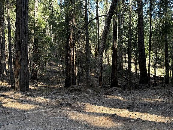 3rd image of Caine Rd