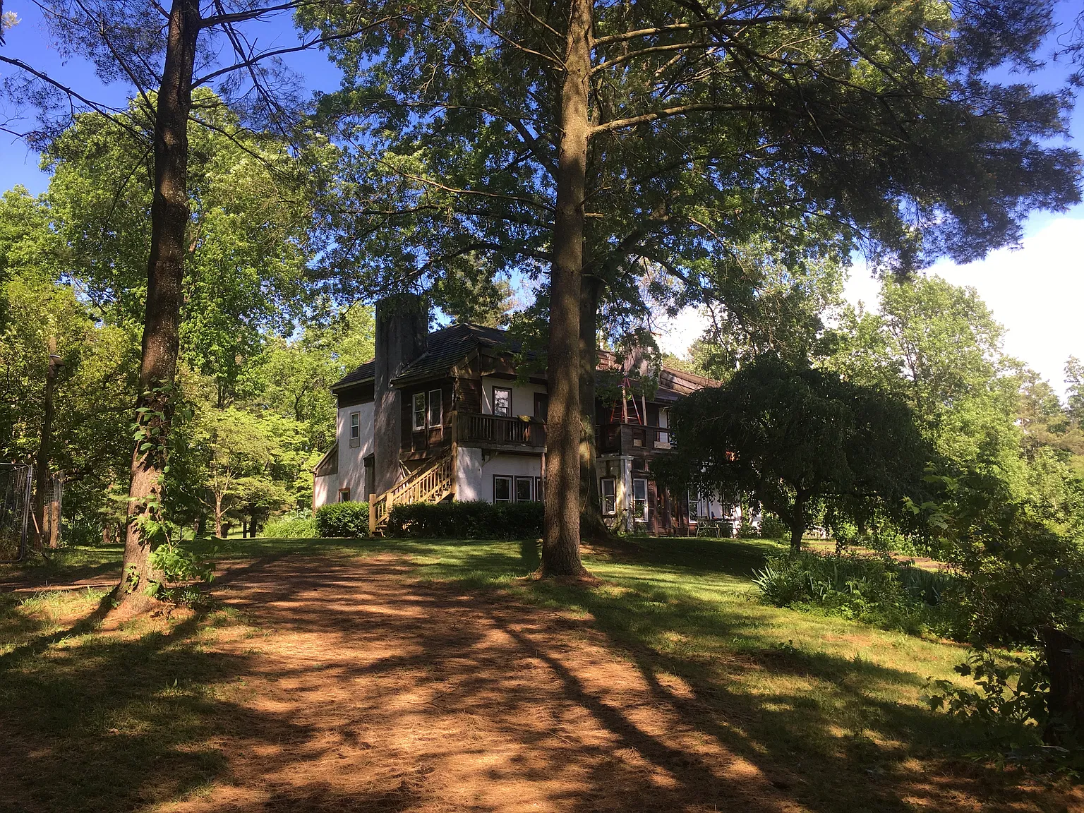 1 bed, $900 — Photo 1