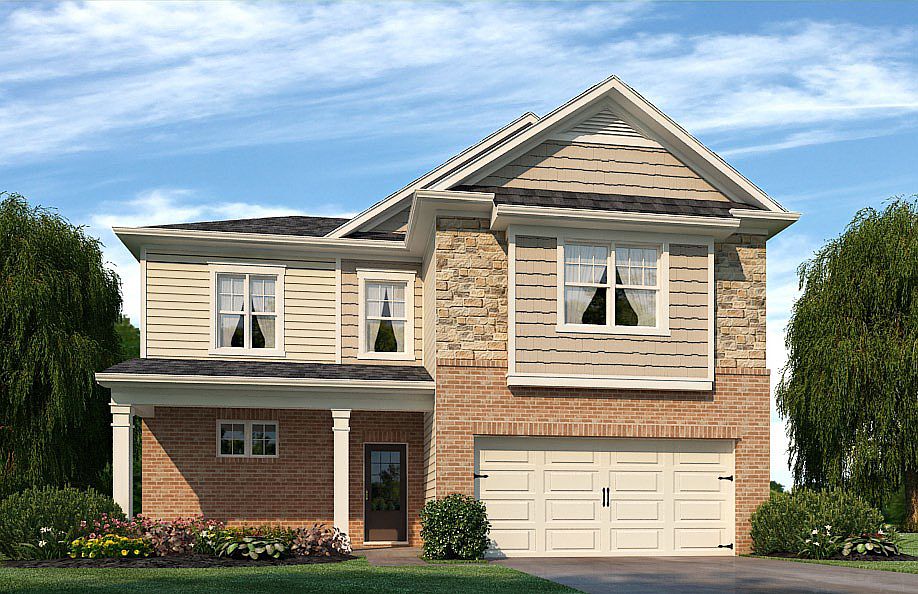Elevation Image 0.