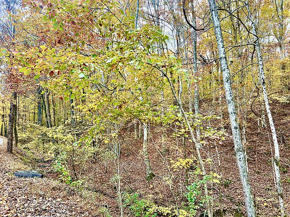 2nd image of 0 W Garretts Creek Rd