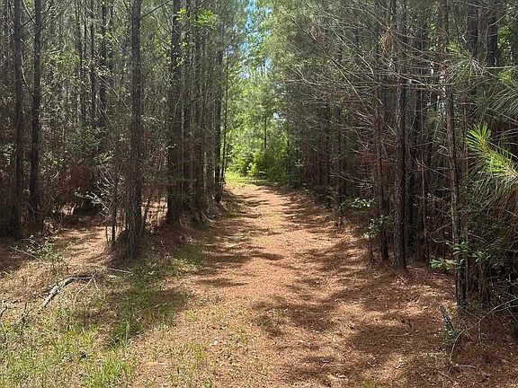 5th image of 0 N Rock Creek Rd