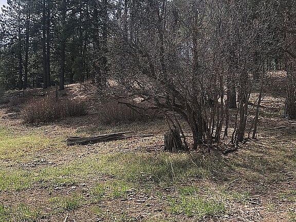 5th image of 249 Wieland