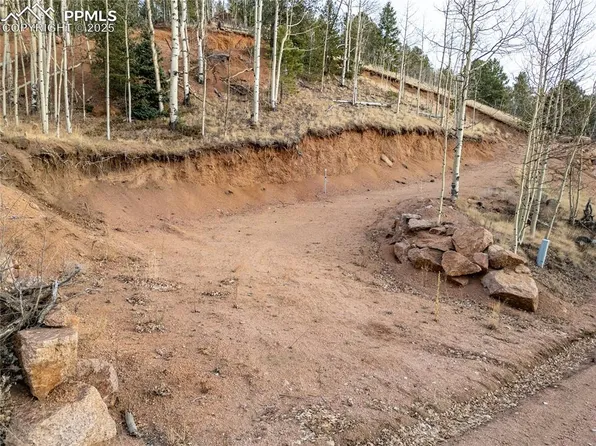 276 Granite Ln, Cripple Creek, CO 80813