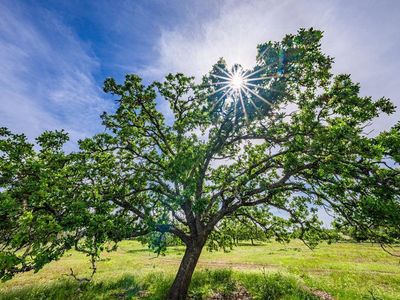 188 Lower Reservation Rd, Harper, TX, 78631
