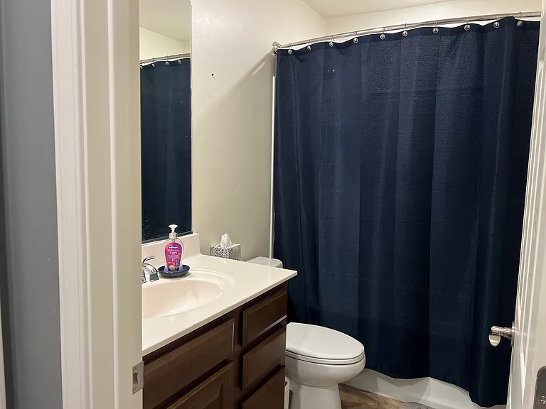 1001 W Calle Tronco Seco — Photo 5