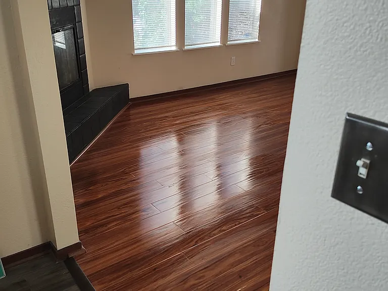 Living Room - From dining room