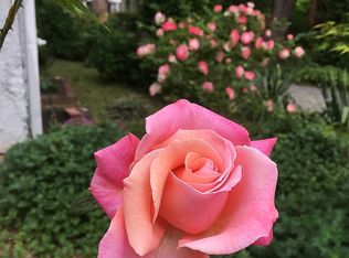 413 Wingate Rd, Baltimore, MD 21210