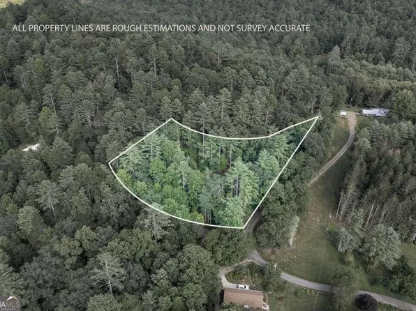 7 Royal Ln, Suches, GA 30572