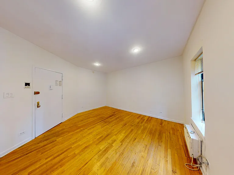 300 1/2 E 65th St #4 — Photo 11
