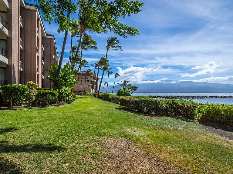 30 Hauoli St #204 — Photo 20