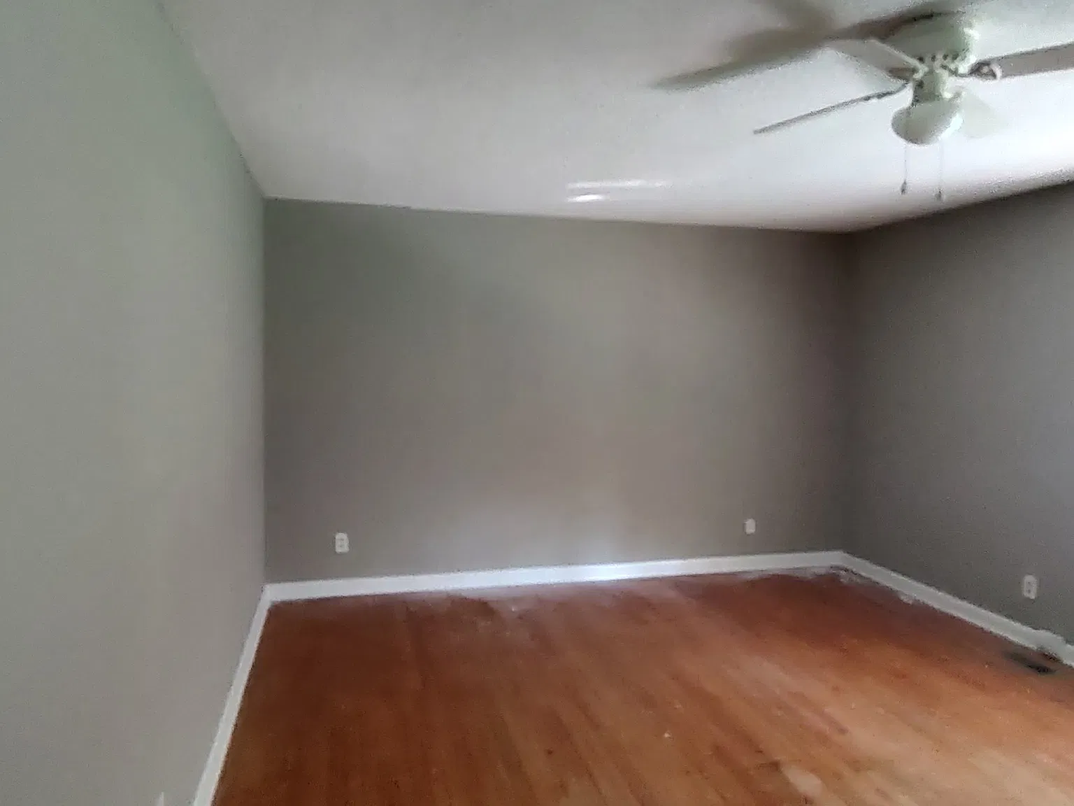 202 Redwood Trail — Photo 3