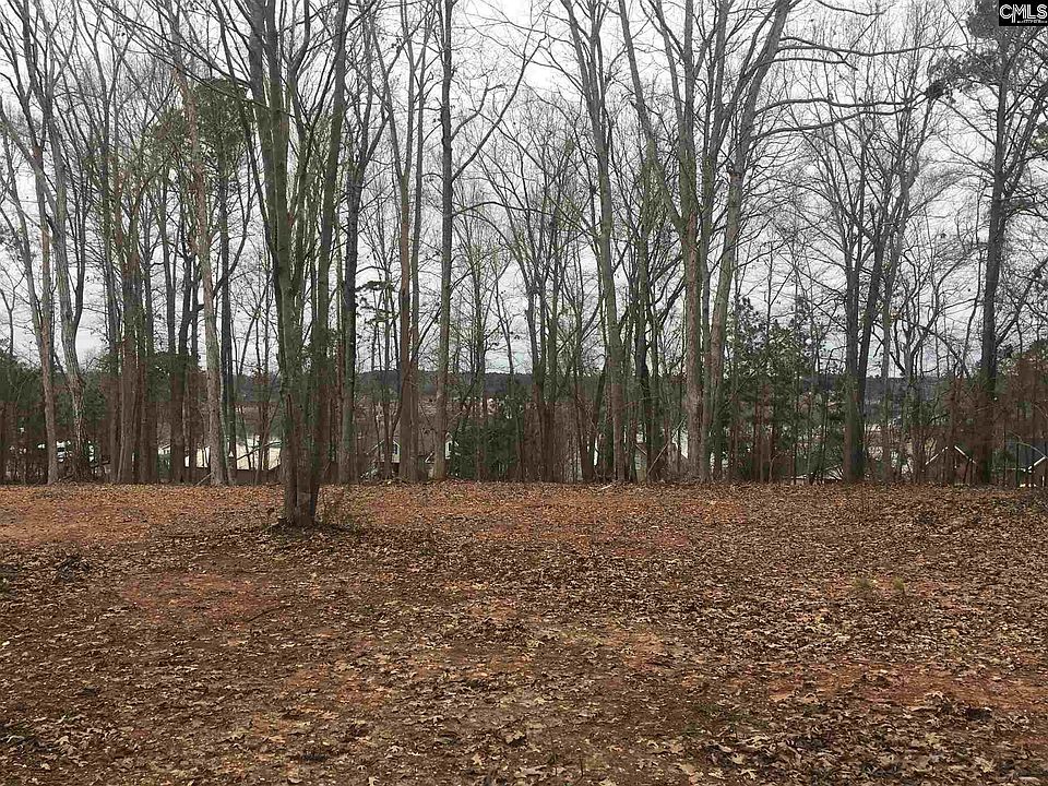 2nd image of 272 Saluda Waters Point