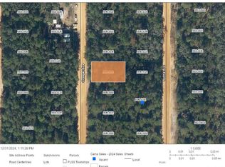 Creager Avenue Lot #5, Interlachen, FL 32148