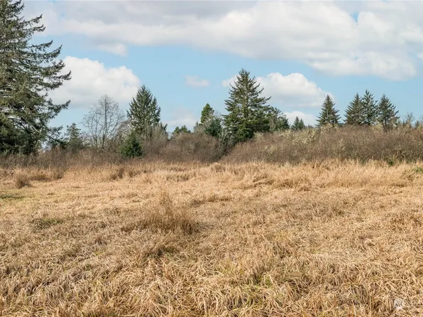 2990 40th Street, Seaview, WA 98644