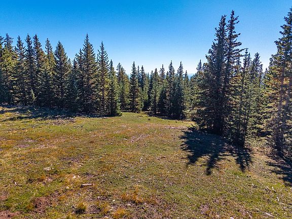 5th image of Timber Ridge Trl