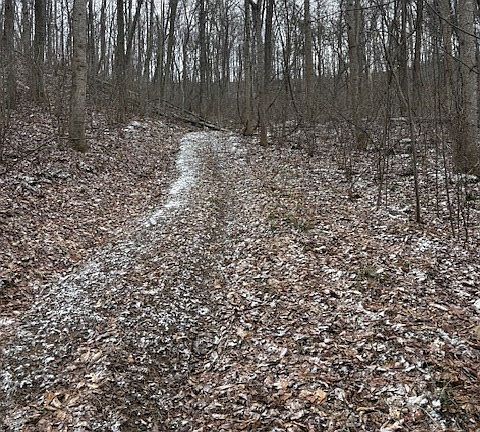 3rd image of 0 Wolf Run Rd