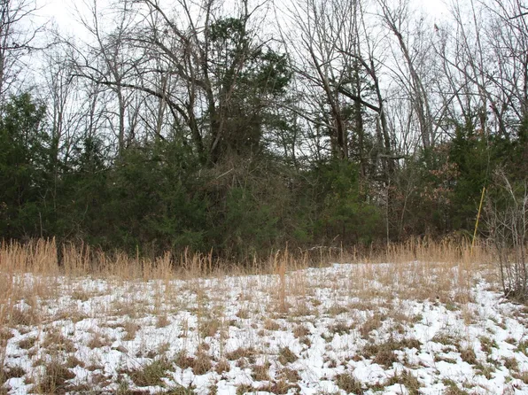 2 Mc #8064, Flippin, AR 72634