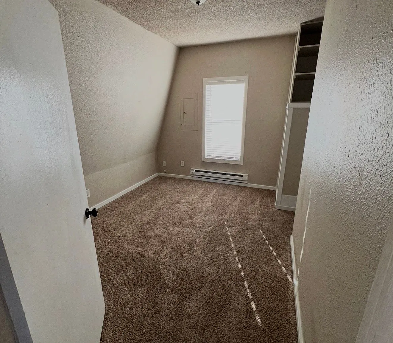 Beautiful 1 Bedroom Tacoma Apartment Near 6th Ave! — Photo 3