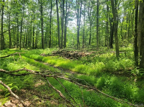 Sky View Lot 20 Dr, Scotrun, PA 18355