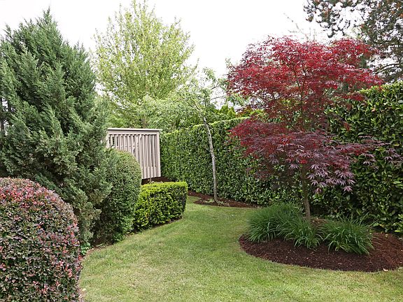 West side of deck