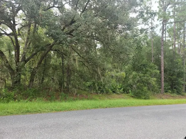 3 SW 61st St, Ocala, FL 34479