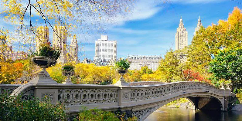 Rented by Street Realty Brokerage LLC | media 2