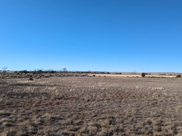 In Saint Johns, Saint Johns, AZ 85936