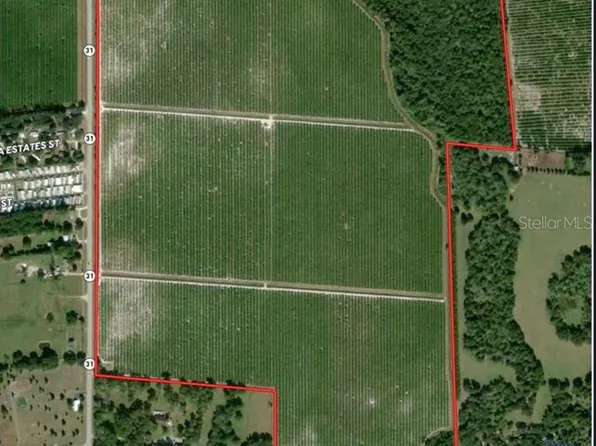 SE Highway 31, Arcadia, FL 34266